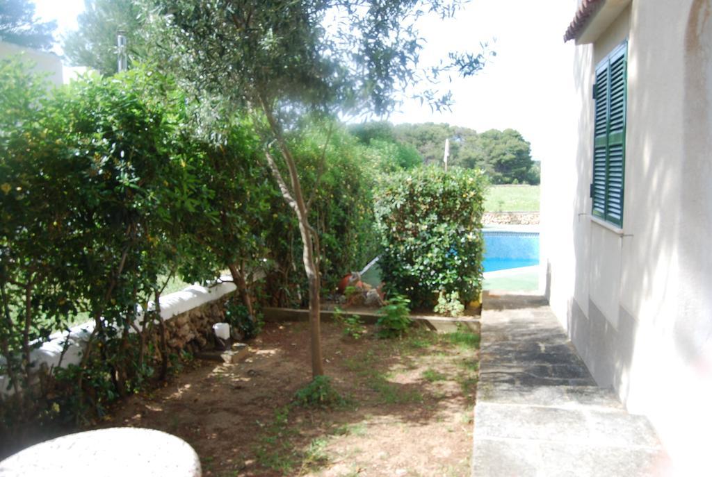 Apartmán Es Pins Cala Blanca  Pokoj fotografie