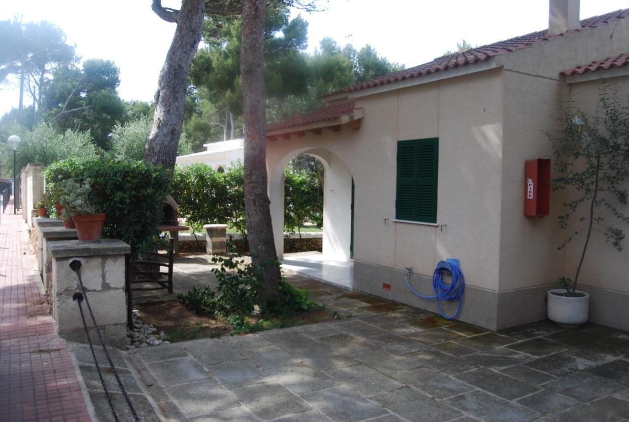 Apartmán Es Pins Cala Blanca  Pokoj fotografie